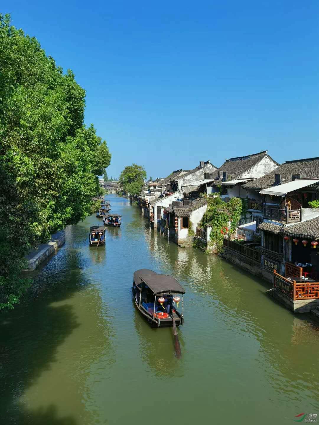 紧急提示风险！